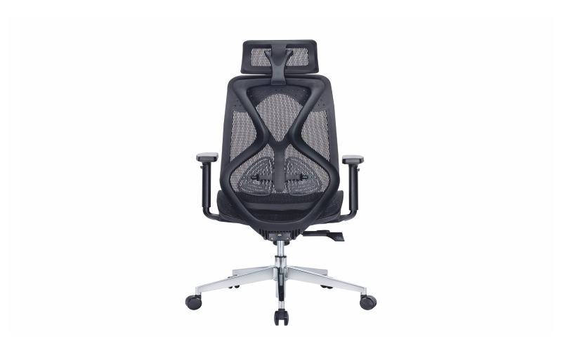 Ergon Cush Black Back